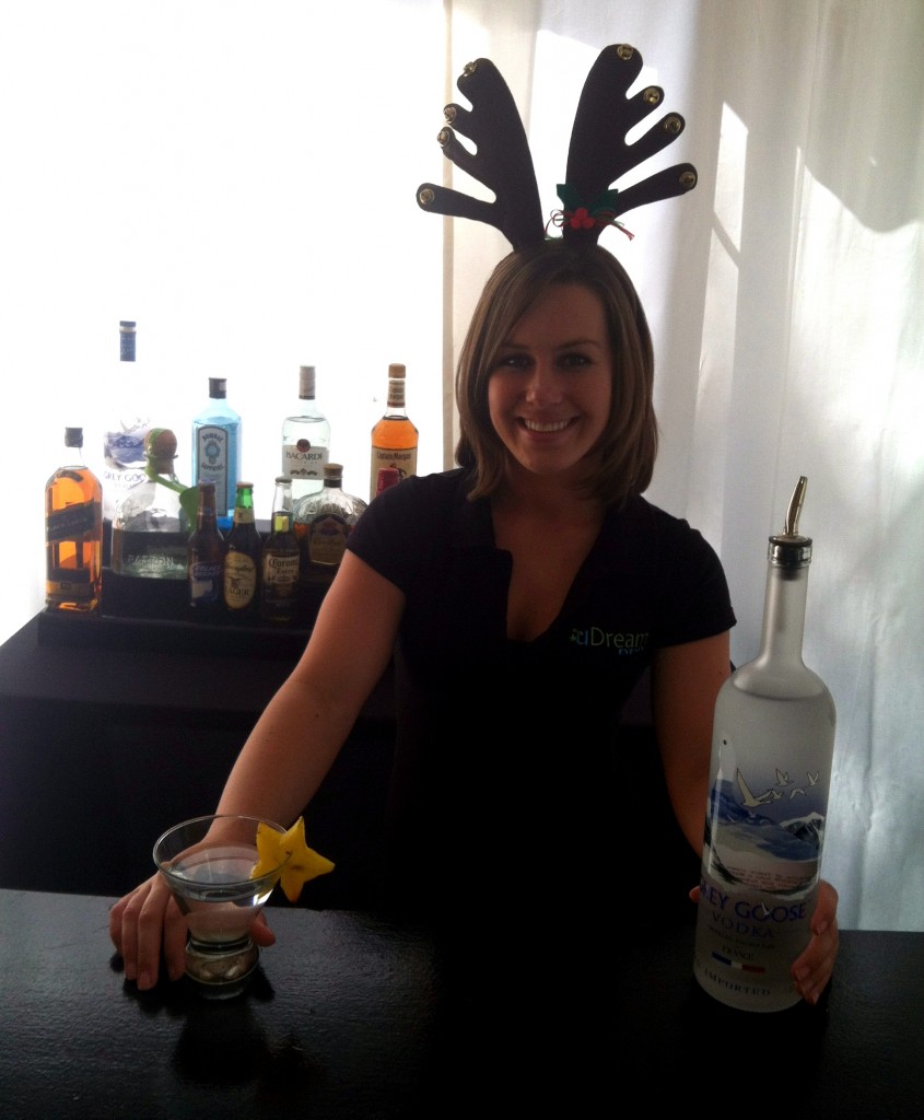 Holiday Bartenders for your private event